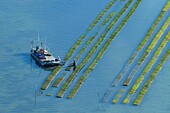 France, Morbihan, Ile-aux-Moines, aerial view of the Gulf of Morbihan and ostreicultural sites of the island aux Moines