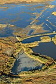 France, Morbihan, Sarzeau, aerial view of the Golfe of Morbihan, Saint-Colombier marshes