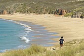 France, Morbihan, Houat, walker on southeast coast, the beach of Treac'h Salus