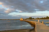 Frankreich, Morbihan, Insel Arz, Kanufahrt im Golf von Morbihan bei Sonnenuntergang, die Gezeitenmühle von Berno
