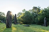 Frankreich, Morbihan, Monteneuf, die megalithische Domäne der Geraden Steine bei Sonnenaufgang