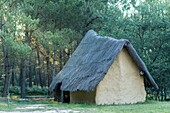 France, Morbihan, Monteneuf, the megalithic domain of the Straight stones at sunrise