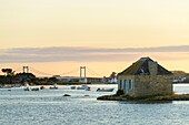 Frankreich, Morbihan, Belz, Nichtarguer-Insel auf dem Fluss Etel bei Sonnenuntergang