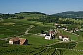 France, Savoie, before Savoyard country, the vineyards and the village of Jongieux