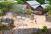 Myanmar (Burma), Mandalay region, Bagan Buddhist archaeological site, Sulemani village