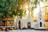 Myanmar (Burma), Rangun, Shwedagon-Pagode