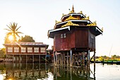 Myanmar (Burma), Shan State, Inle Lake, Kyung Nga Hpe Monastery (Jumping Cats)