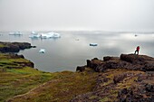 Greenland, West Coast, Disko Island, Qeqertarsuaq, hiker on the coast and icebergs in the mist in the background