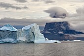 Greenland, West Coast, icebergs and the Mount Uummannaq that rises to 1170 m