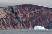 Greenland, West Coast, North Star Bay off the mouth of Wolstenholme Fjord, red sandstone cliffs