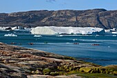 Grönland, Westküste, Diskobucht, Quervainbucht, Kajaks fahren zwischen Eisbergen hindurch