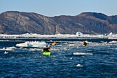 Greenland, West Coast, Disko Bay, Quervain Bay, kayaks progressing among icebergs