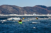 Grönland, Westküste, Diskobucht, Quervainbucht, Kajaks fahren zwischen Eisbergen hindurch