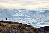 Greenland, West Coast, Disko Bay, Ilulissat, hiker on the edge of the icefjord listed as World heritage by UNESCO that is the mouth of the Sermeq Kujalleq Glacier (Jakobshavn Glacier)