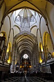 France, Bas Rhin, Strasbourg, old town listed as World Heritage by UNESCO, Place Saint Thomas, Saint Thomas church, organ of the choir built after plans by Albert Schweitzer in 1905, the nave, great Slberman organ of 1741, before a concert
