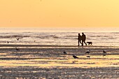 Frankreich, Somme, Baie de Somme, La Mollière d'Aval, Cayeux-sur-mer, Strandspaziergänger