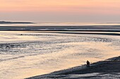 France, Somme, Baie de Somme, Le Crotoy, walkers at dusk from the panorama of the Baie de Somme
