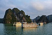 Vietnam, Gulf of Tonkin, Quang Ninh province, Ha Long Bay (Vinh Ha Long) listed as World Heritage by UNESCO (1994), iconic landscape of karst landforms, cruise ships