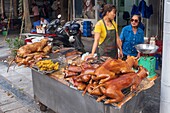 Vietnam, Rotes Flussdelta, Hanoi, Frau verkauft Hundefleisch auf dem Markt