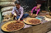 Vietnam, Lao Cai province, Sa Pa town, chestnut seller
