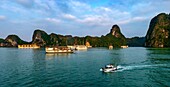 Vietnam, Golf von Tonkin, Provinz Quang Ninh, Ha-Long-Bucht (Vinh Ha Long), von der UNESCO zum Weltkulturerbe erklärt (1994), schwimmendes Haus der Fischer
