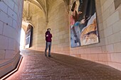 France, Indre et Loire, Loire valley listed as World Heritage by UNESCO, Amboise, Amboise castle, The portrait of the graffiti artist Ravo in residence at the Amboise castle in front of his reproductions of the painting Death of Leonard de Vinci