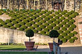 Frankreich, Indre et Loire, Loire-Tal, von der UNESCO zum Weltkulturerbe erklärt, Amboise, Schloss Amboise, Gärten des Schlosses von Amboise