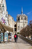 Frankreich, Indre et Loire, Loiretal, das zum UNESCO-Welterbe gehört, Amboise, Schloss Amboise, Kapelle Saint Hubert, in der Leonardo da Vinci begraben ist