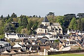 France, Indre et Loire, Loire valley listed as World Heritage by UNESCO, Amboise, Saint Denis's church