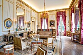 France, Paris, Nissim museum of Camondo, the grand salon