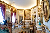 Frankreich, Paris, Nissim-Museum von Camondo, der große Salon
