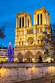 France, Paris, area listed as World Heritage by UNESCO, the banks of the Seine, the Ile de la Cite and the Notre Dame cathedral at Christmas