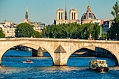 France, Paris, area listed as World Heritage by UNESCO, a riverboat in front of the Carrousel Bridge, and Notre Dame Cathedral