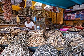 Sri Lanka, Western province, Negombo, dried fish shop