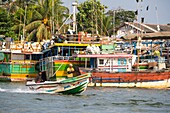 Sri Lanka, Western province, Negombo, fishing boats in Negombo lagoon