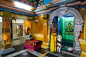 Sri Lanka, Western province, Negombo, Sri Singama Kali Amman Hindu temple