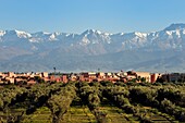 Morocco, High Atlas, Marrakech, Imperial city, Medina listed as World Heritage by UNESCO, Bab Ighli district and the snow-covered Atlas in the background