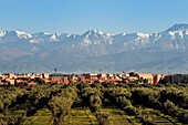 Marokko, Hoher Atlas, Marrakesch, von der UNESCO zum Weltkulturerbe erklärte Kaiserstadt, Medina, Stadtteil Bab Ighli und der schneebedeckte Atlas im Hintergrund