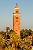 Morocco, High Atlas, Marrakech, Imperial city, Medina listed as World Heritage by UNESCO, the Koutoubia mosque and its minaret