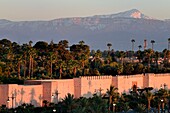 Marokko, Hoher Atlas, Marrakesch, die von der UNESCO zum Weltkulturerbe erklärte Kaiserstadt Medina, die Stadtmauern und der Oukaïmeden-Gipfel im schneebedeckten Atlas im Hintergrund bei Sonnenuntergang