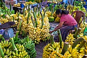 Sri Lanka, Südprovinz, Matara, Obst- und Gemüsemarkt