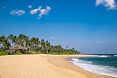 Sri Lanka, Southern province, Tangalle, Medilla beach