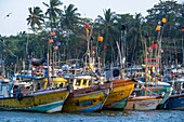 Sri Lanka, Southern province, Tangalle, the fishing harbour
