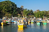 Sri Lanka, Southern province, Tangalle, the fishing harbour