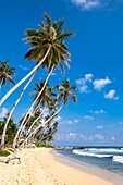 Sri Lanka, Southern province, Unawatuna, Dalawella beach