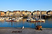 France, Seine Maritime, Pays de Caux, Cote d'Albatre, Dieppe, the harbour and the Quai Henri IV
