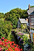 Frankreich, Seine Maritime, Pays de Caux, Cote d'Albatre (Alabasterküste), Veules les Roses, Die schönsten Dörfer Frankreichs, das Dorf Veules les Roses wird von der Veules durchflossen, einem Fluss, der für seinen kurzen Lauf (1100 m) bekannt ist