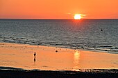 Frankreich, Normandie, Seine Maritime, Pays de Caux, Cote d'Albatre, Veules les Roses, Die schönsten Dörfer Frankreichs, der Strand und die Klippen