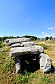 Frankreich, Morbihan, Carnac, Reihe von megalithischen Steinen bei Kermario