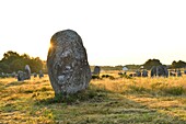 Frankreich, Morbihan, Carnac, megalithische Stätte von Menec